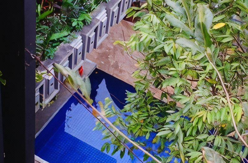 Golden Temple Villa photo 2