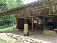 Cozy Tiny Cabin Retreat Hotels in Wayne County