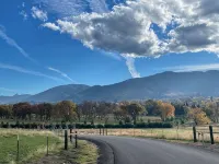 Peaceful, spacious home on 8 acres. Pet-friendly, close town, and a creek! - 3 étoiles