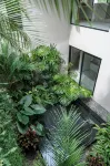 Casa Blue Marlin - Amazing 5 Bdrm Villa - Villas