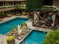 NEhotel Nueva Estancia - Pools