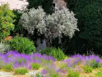 Logis Hôtel la Bastide des Monges Hoteles en Nyons