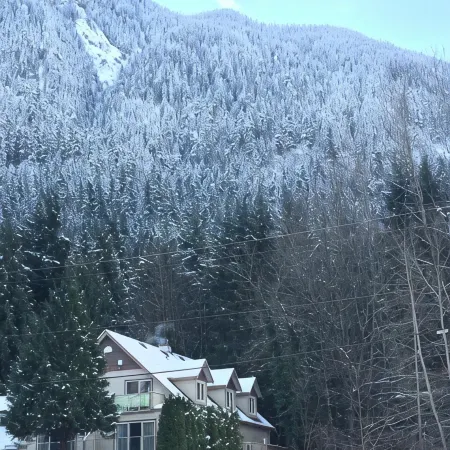 Evergreen Bed & Breakfast