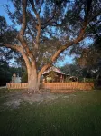 Monkey Business  – Private Lake, Dock, Stunning Views, Close to Gainesville UF - キッチン