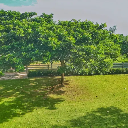 Kampu Nature Pool Villa Rayong