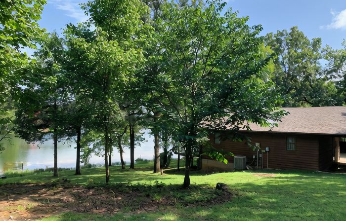 Cabin in Hardy on Kiwanie Lake with fishing boat & kayak, near Spring River