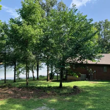 Cabin in Hardy on Kiwanie Lake with fishing boat & kayak, near Spring River