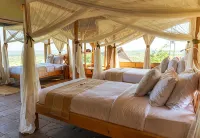 Soroi Cheetah Tented Camp Hotels in 