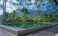 Rain Drops Wellness Villa Deniyaya, Sinharaja - สระว่ายน้ำส่วนตัว