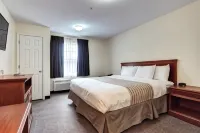 Suburban Studios Westminster Denver North