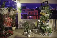 Kon-Tiki DaNang Hostel - Hostales
