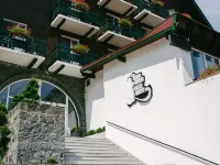 Vila Ursul Negru Hotels in Sovata