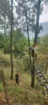 Pine Trails Jungle Camp - 3-Star