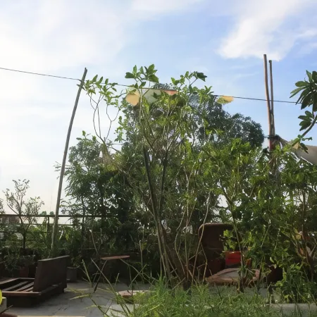 Bed & Chai Guesthouse