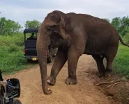 Ali Weta Safari Resort - parking