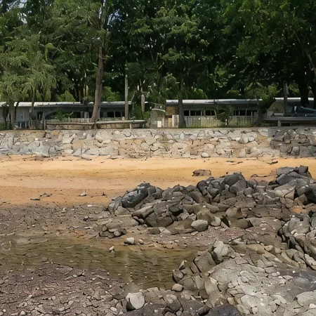Baansukhita