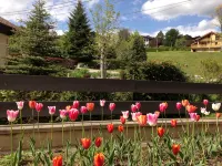 New apartment, superb lake and mountain views. - Mountain view
