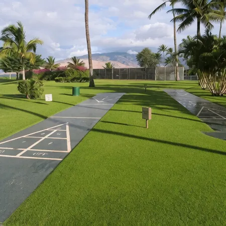 Beautiful Ocean View Maui Sunset Condo - B213