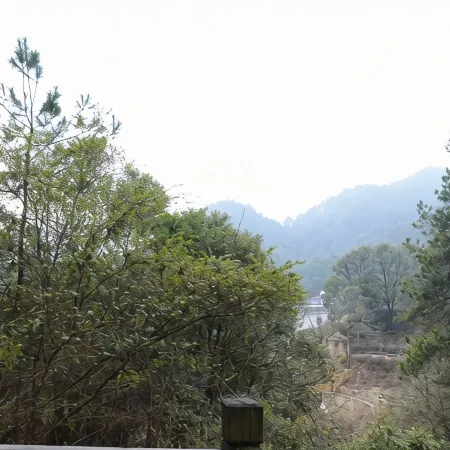 Lushan Zuishi Hot Spring Resort Hotel