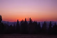 The Northwoods House - Direct ATV Access - シャレー