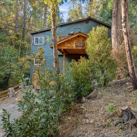 Cozy Mountain Retreat with 3 decks, huge living room, walking distance of shops