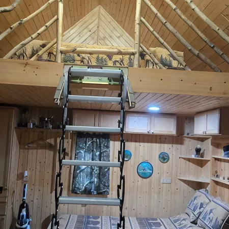 Cozy cabin in Brasher Falls, NY
