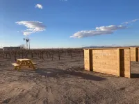 Tarantula Ranch - Death Valley Glamping & Vineyard - Homestays