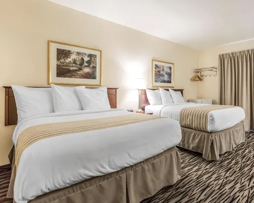 Econo Lodge - Pet friendly
