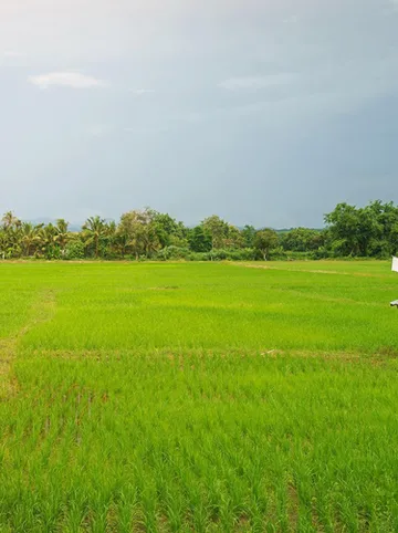 รูปภาพของKYP Hotel โรงแรมขุนยูวเพลส