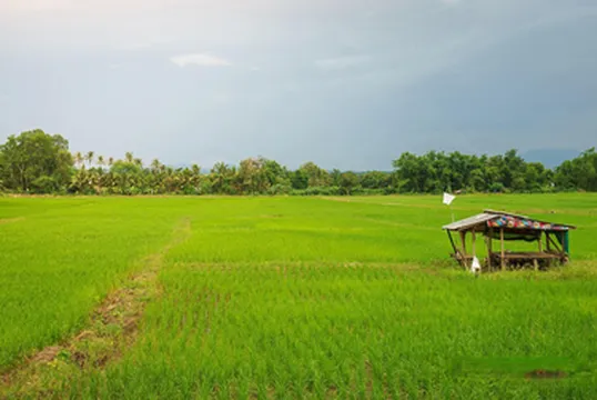 รูปภาพของKYP Hotel โรงแรมขุนยูวเพลส