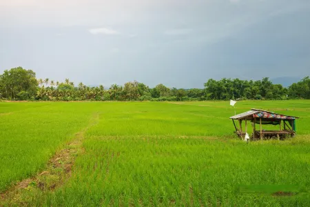 KYP Hotel Отели рядом с достопримечательностью «Национален парк "Дойпахомпок"»