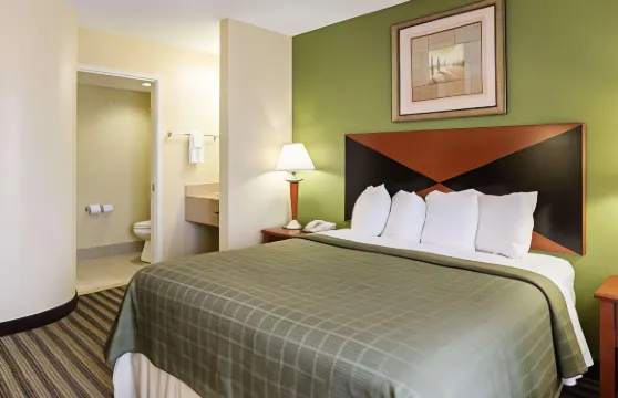 休斯頓東貝敦凱藝酒店