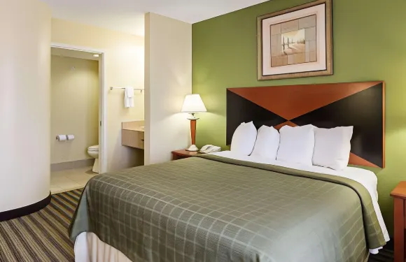 休斯頓東貝敦凱藝酒店