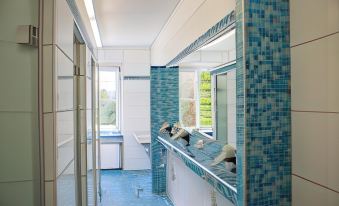 YoHo - International Youth Hostel