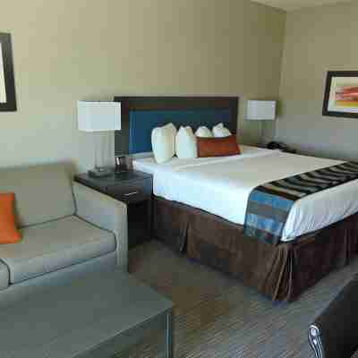 Wingate by Wyndham Lubbock Near Texas Tech Univ. Medical Ctr Rooms