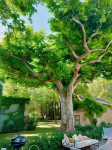 Rêve D’Emma Các khách sạn ở Cavaillon