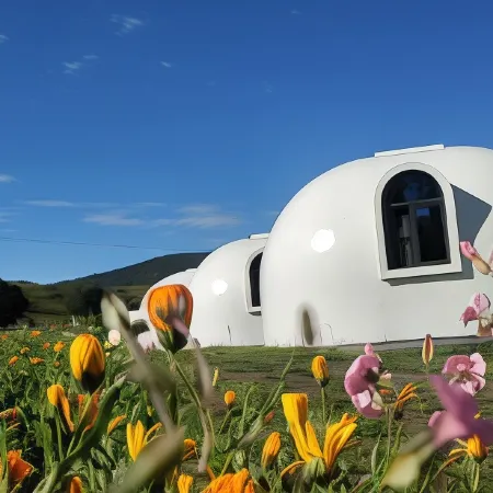 Garr Starry Sky Camp