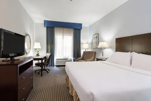Holiday Inn Express & Suites NEW IBERIA-AVERY ISLAND by IHG Hotels in New Iberia