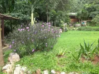Baan Tildao Pround Fah /Exotic Room on a Hill Hotell i Phaya Yen