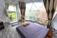 ม่อนดาวเรือง ม่อนแจ่ม