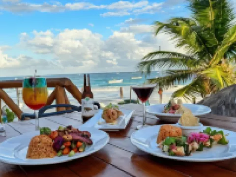 阿利託圖蘭酒店 圖盧姆酒店