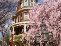 Wilson House Bed & Breakfast Hotels near OXOXO Gallery
