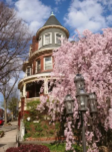 Wilson House Bed & Breakfast