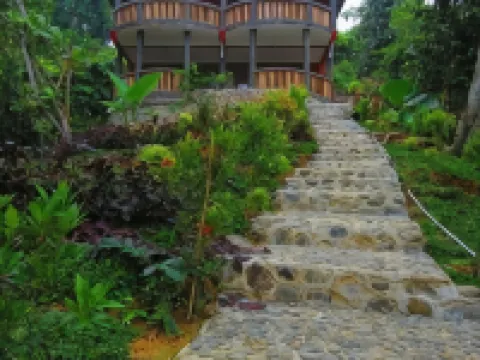 Hotel Orangutan Hotels in Langkat Regency