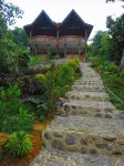 Hotel Orangutan Hotel di Bukit Lawang