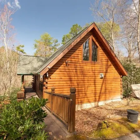 Wuzzy's Flophouse 2 Bedroom Cabin by RedAwning