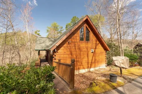 Wuzzy's Flophouse 2 Bedroom Cabin by RedAwning