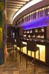 Radisson Blu Plaza Resort and Spa Karjat - bar