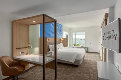 SpringHill Suites Bradenton Downtown/Riverfront Hotels near Publix Super Market at Bradenton Commons