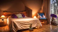 Villa Nao Hotels in 